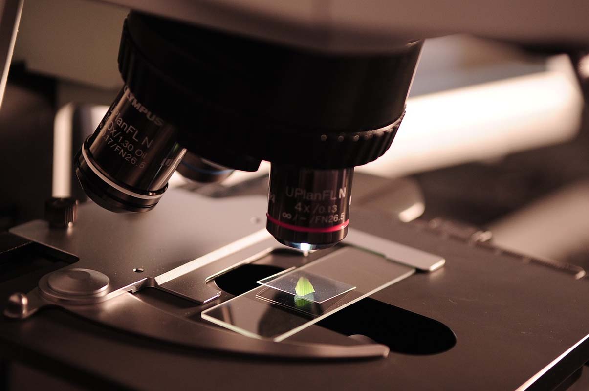 Merkel Addresses Europe's Science Leadership Ambition